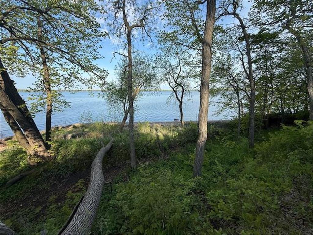 TBD Lot 13 BLk 2 Pilgrim Point Shroes Ida Twp MN 56308 - Ida 7075610 image30