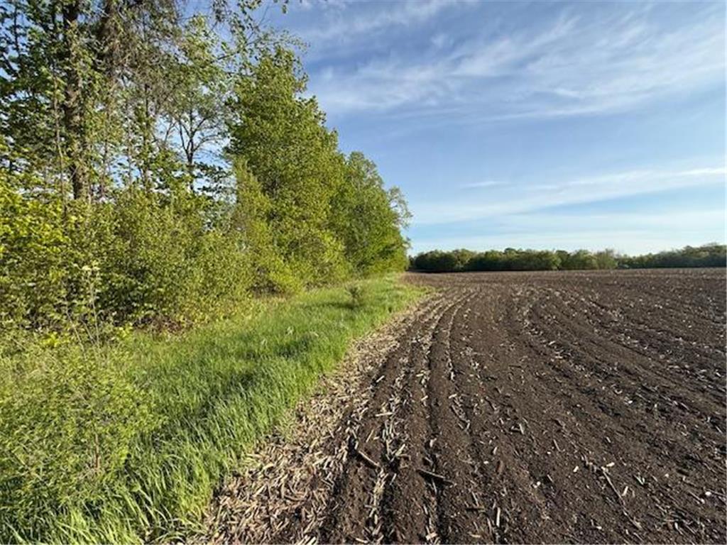 TBD Lot 13 BLk 2 Pilgrim Point Shroes Ida Twp MN 56308 - Ida 7075610 image31