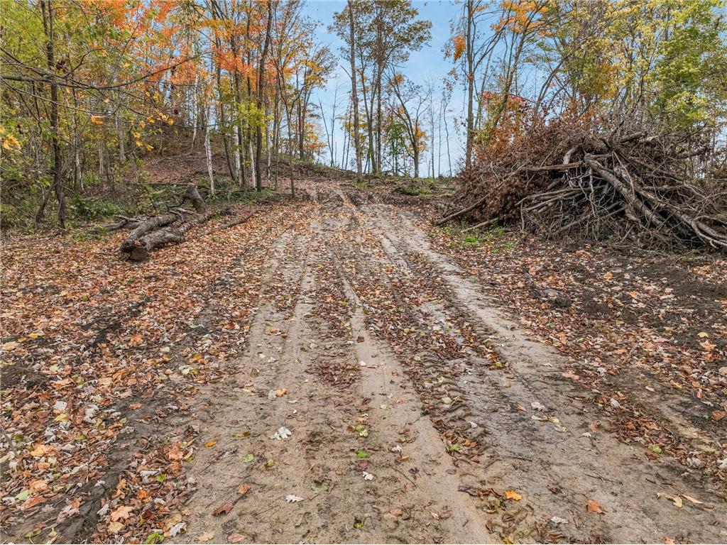 TBD Lot 2 1270th Avenue New Haven Twp WI 54013 6806631 image19