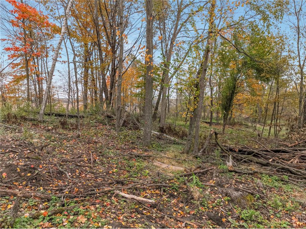 TBD Lot 2 1270th Avenue New Haven Twp WI 54013 6806631 image21