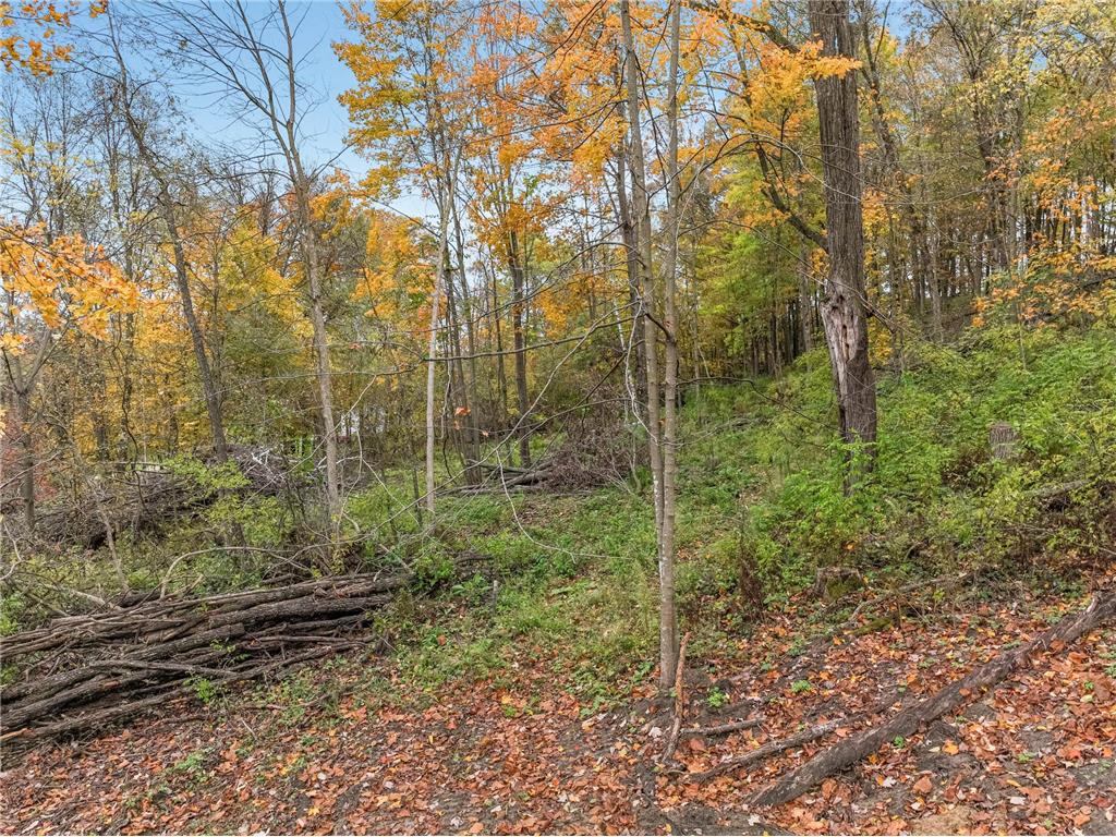 TBD Lot 2 1270th Avenue New Haven Twp WI 54013 6806631 image24