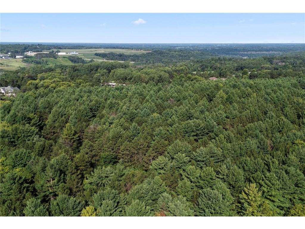 TBD Lot 2 40th Street Somerset WI 54025 7026152 image10