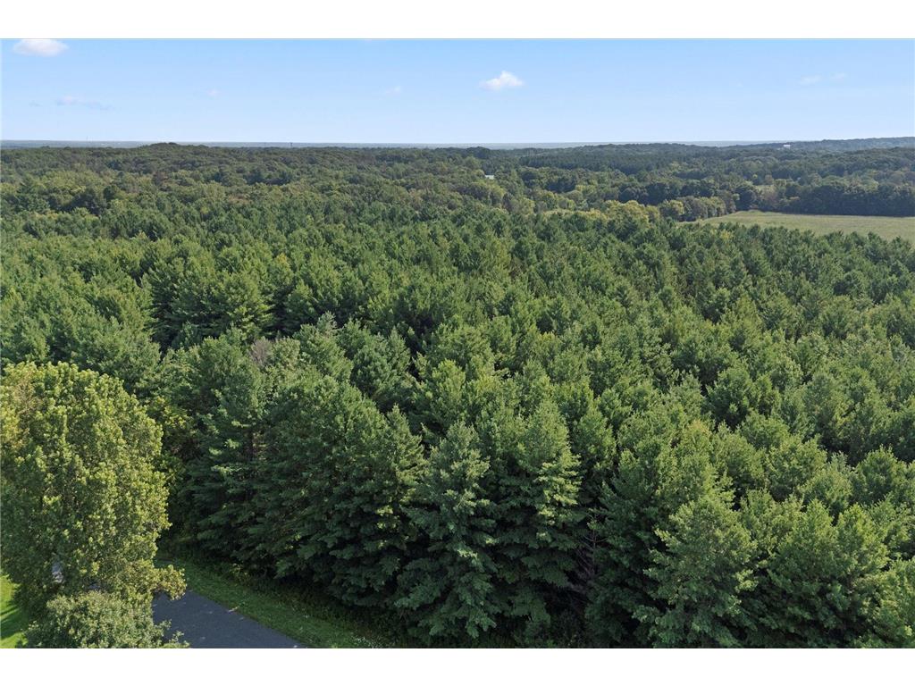 TBD Lot 2 40th Street Somerset WI 54025 7026152 image13