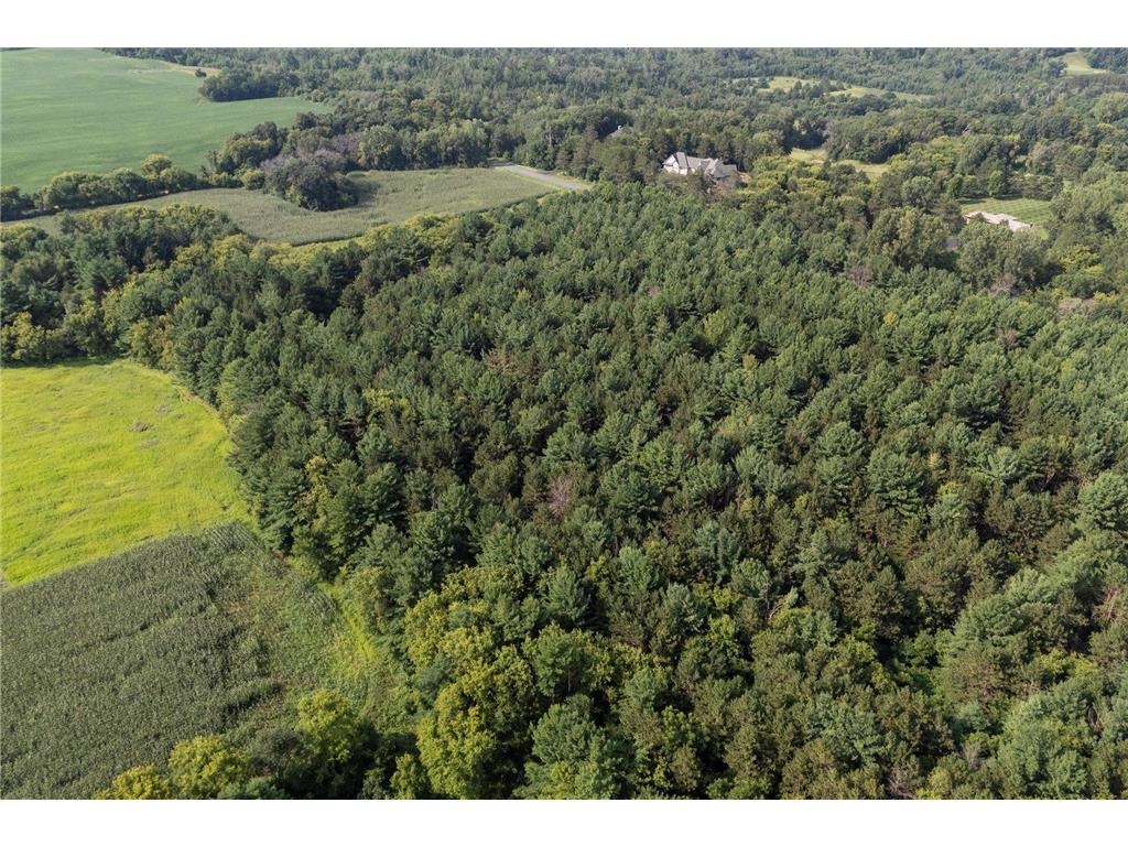 TBD Lot 2 40th Street Somerset WI 54025 7026152 image5