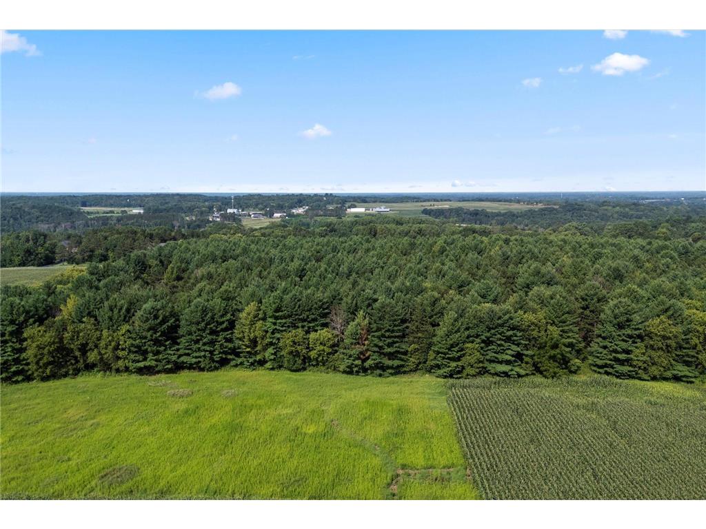 TBD Lot 2 40th Street Somerset WI 54025 7026152 image8