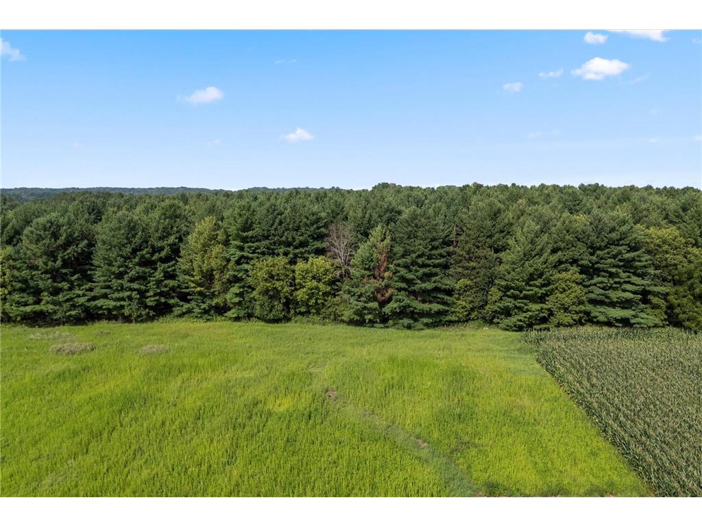 TBD Lot 2 40th Street Somerset WI 54025 7026152 image9