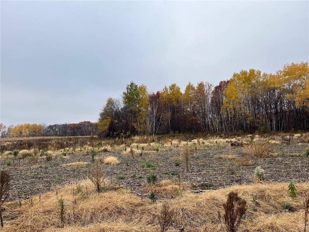 TBD (Lot 2) Brunswick Road Stanchfield MN 55080 - Krans 6810864 image2