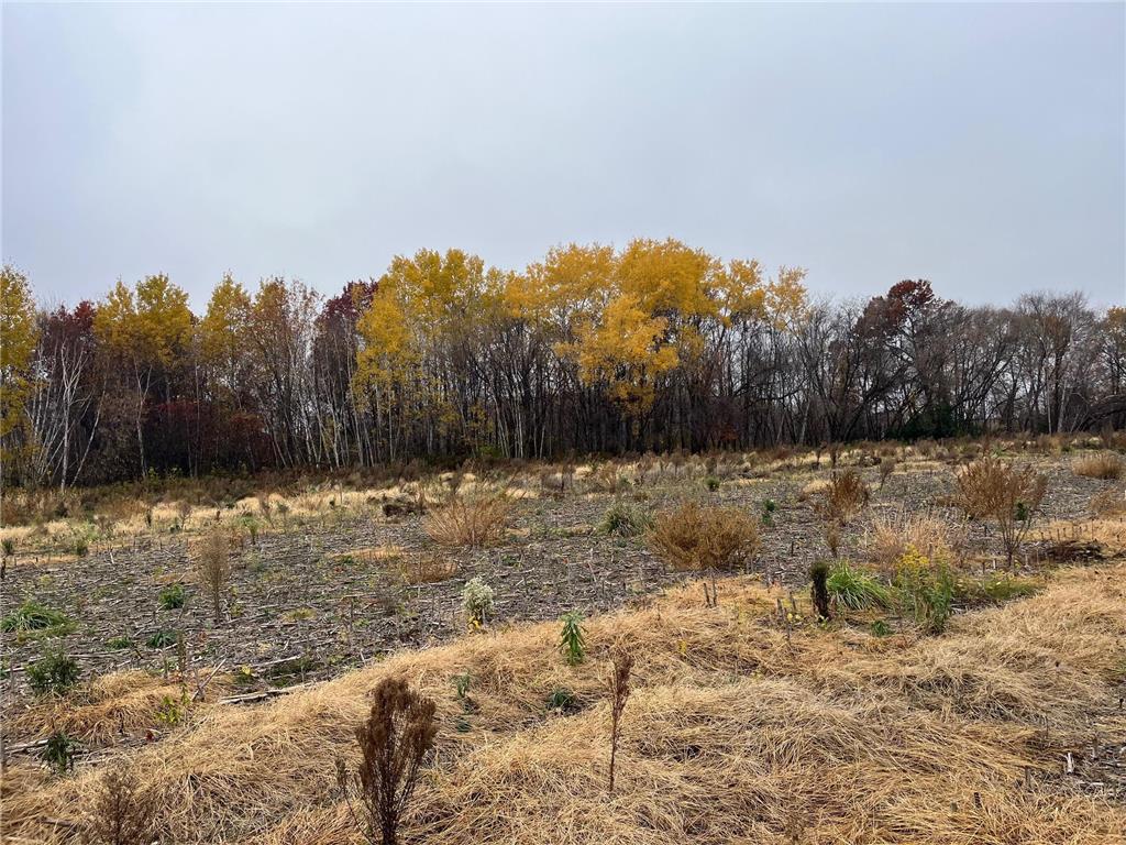 TBD (Lot 2) Brunswick Road Stanchfield MN 55080 - Krans 6810864 image3