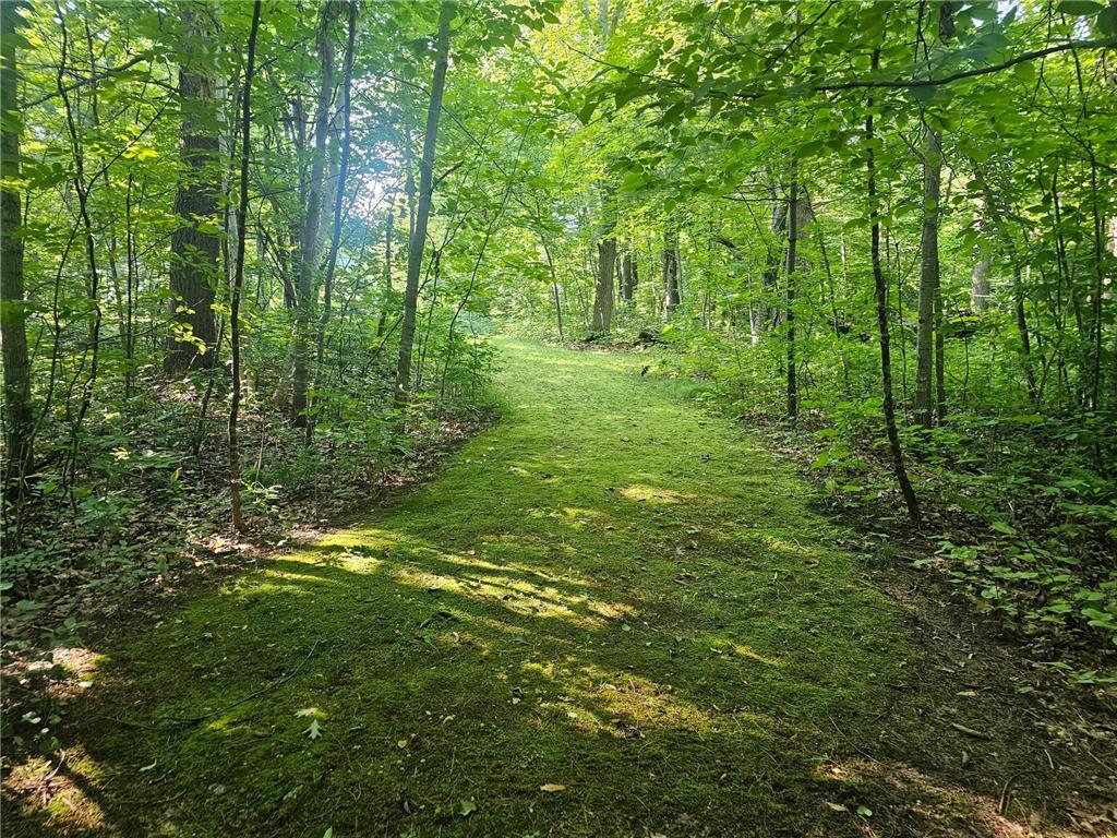 TBD Lot 2 Bunny Lane Crosby MN 56441 6763152 image1