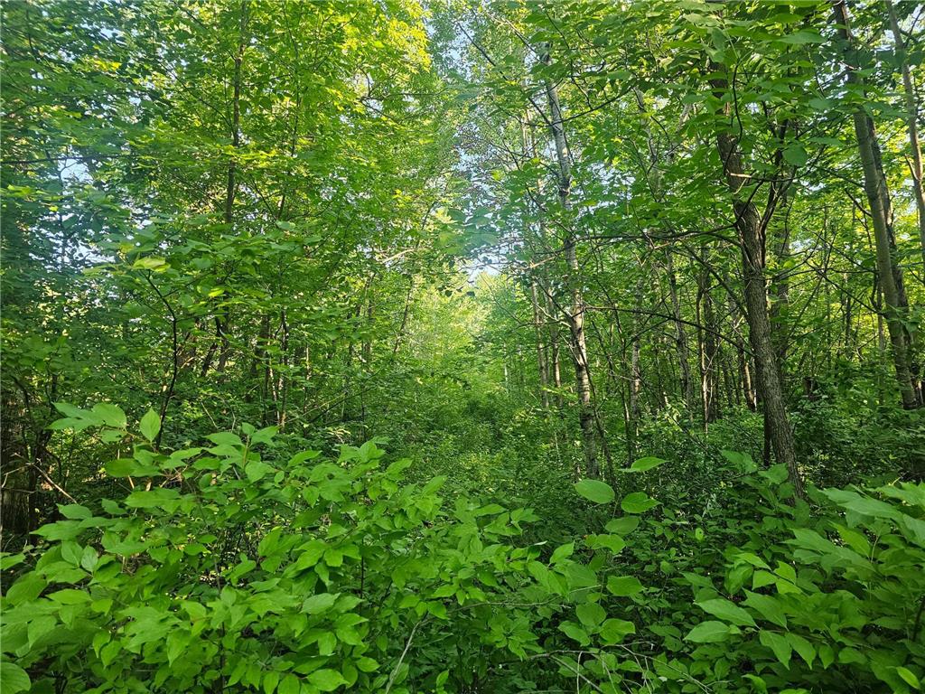 TBD Lot 2 Bunny Lane Crosby MN 56441 6763152 image2