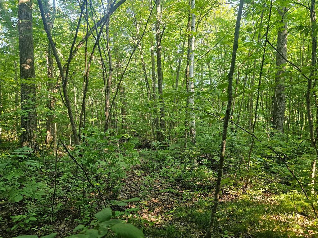 TBD Lot 2 Bunny Lane Crosby MN 56441 6763152 image7