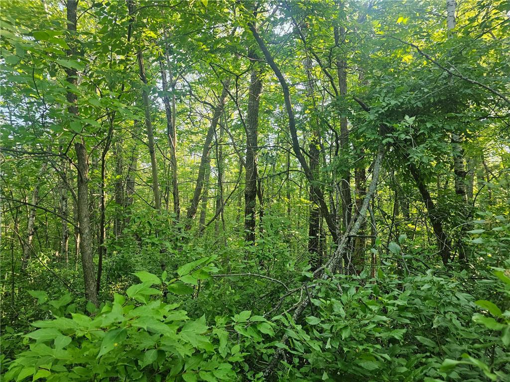 TBD Lot 2 Bunny Lane Crosby MN 56441 6763152 image8