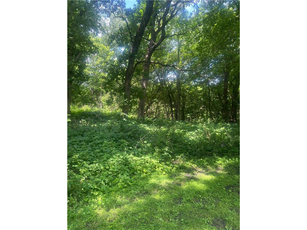 TBD Lot 2 Envelope 1 Baycrest Road Glenwood MN 56334 - Minnewaska 6753671 image3