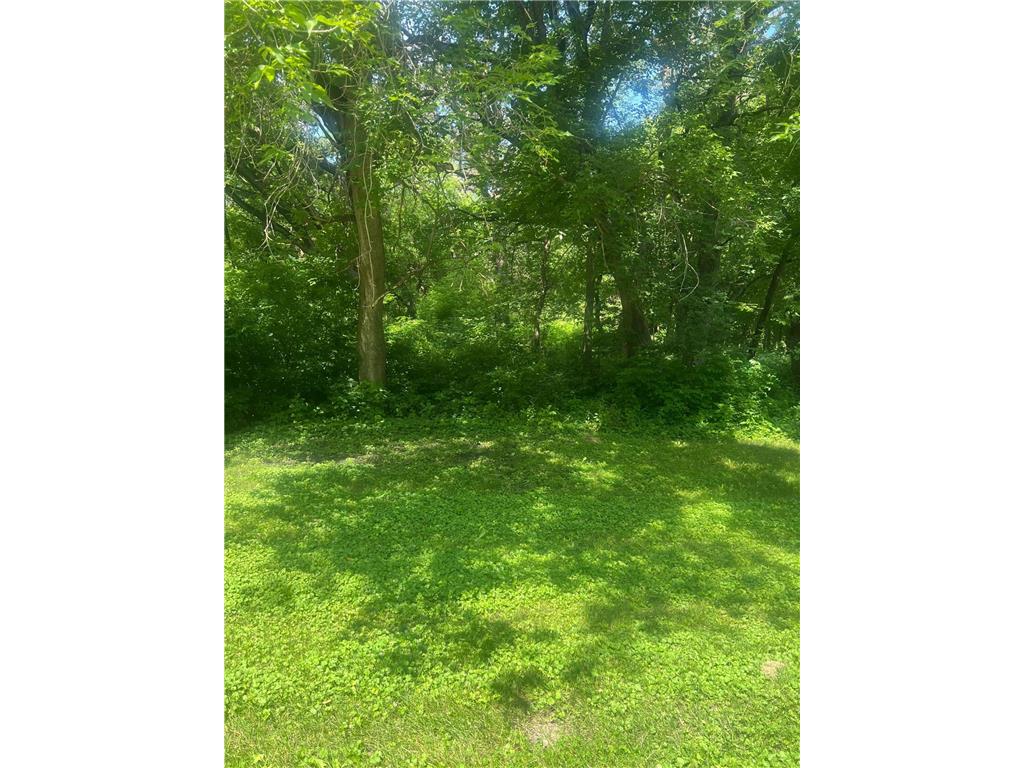 TBD Lot 2 Envelope 1 Baycrest Road Glenwood MN 56334 - Minnewaska 6753671 image4