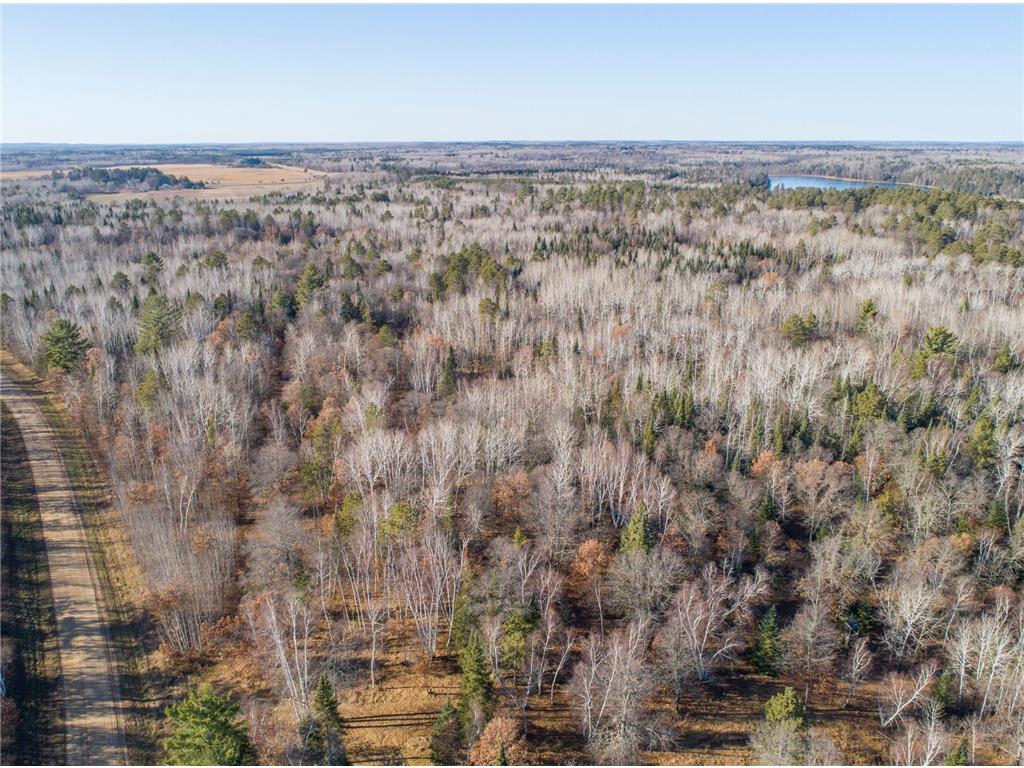 TBD Lot 2 Frustration Lane Todd Twp MN 56470 6817515 image3