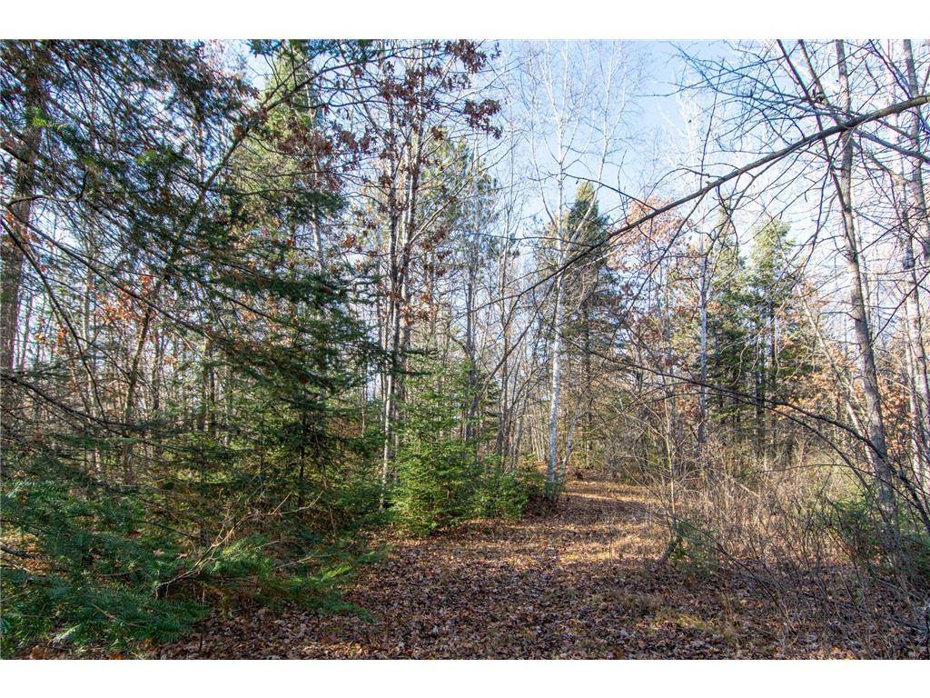 TBD Lot 2 Frustration Lane Todd Twp MN 56470 6817515 image5