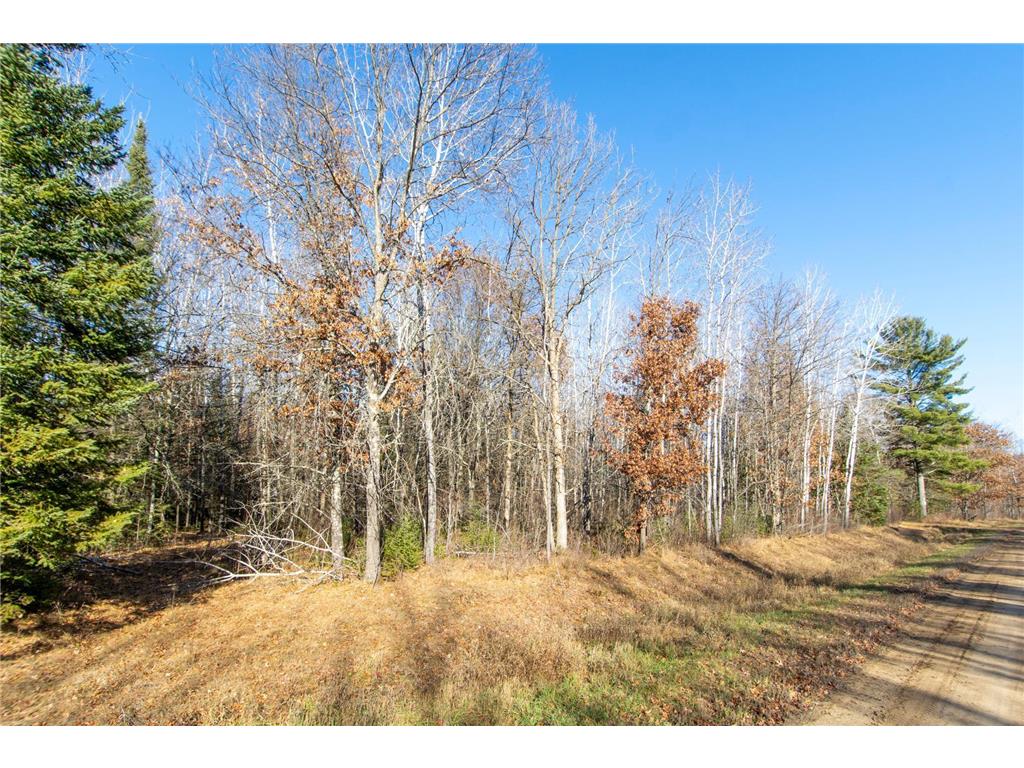 TBD Lot 2 Frustration Lane Todd Twp MN 56470 6817515 image6