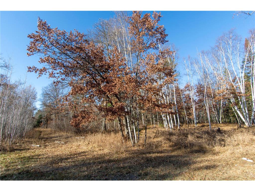 TBD Lot 2 Frustration Lane Todd Twp MN 56470 6817515 image7
