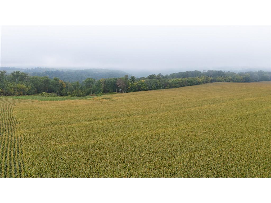 TBD (Lot 2) Goat Back Road Pepin WI 54759 6813960 image11