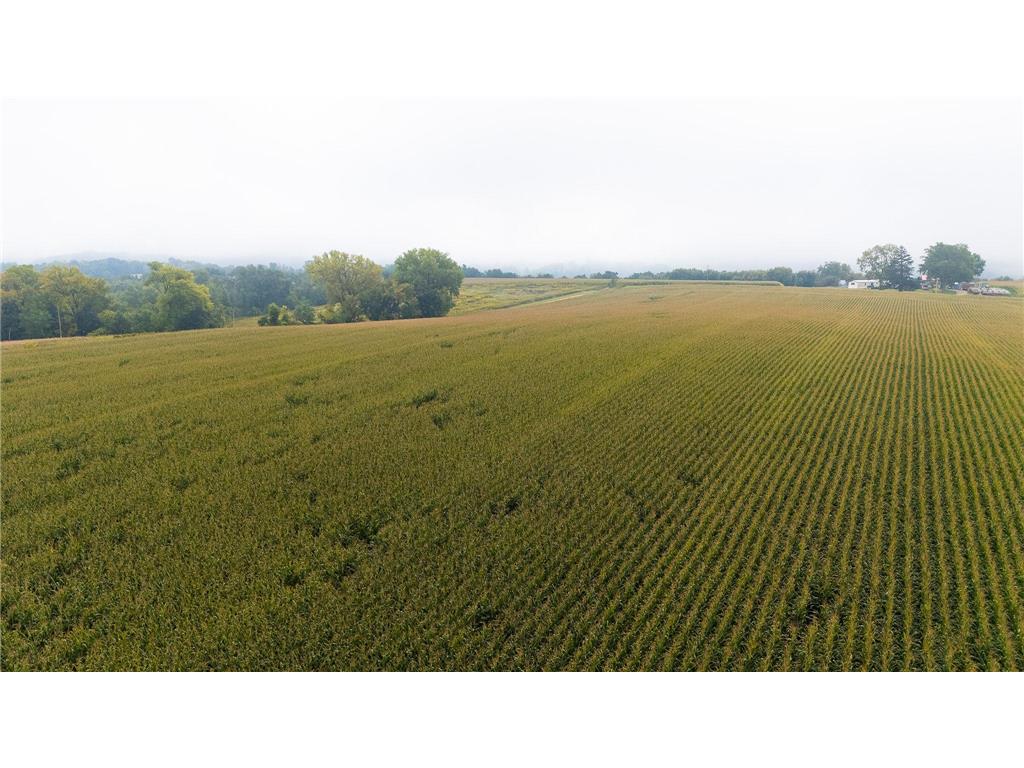 TBD (Lot 2) Goat Back Road Pepin WI 54759 6813960 image13