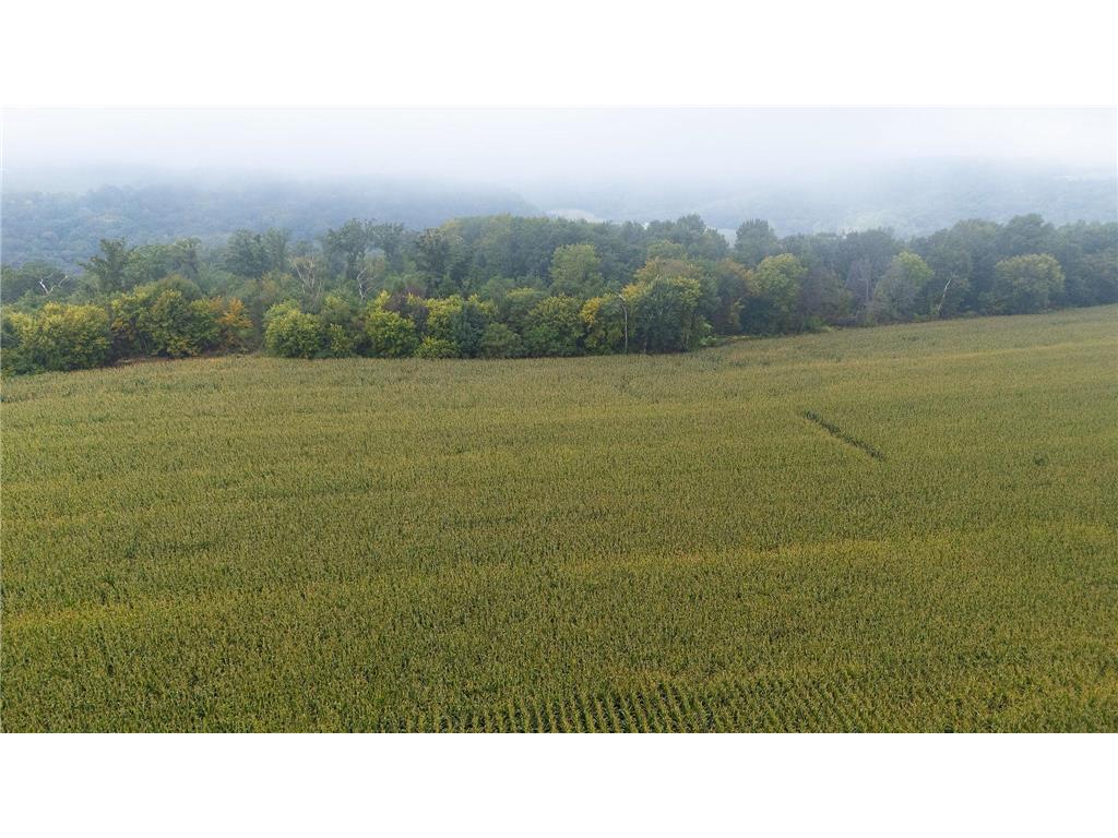 TBD (Lot 2) Goat Back Road Pepin WI 54759 6813960 image15