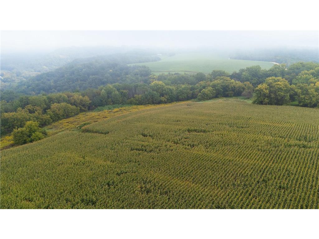 TBD (Lot 2) Goat Back Road Pepin WI 54759 6813960 image17