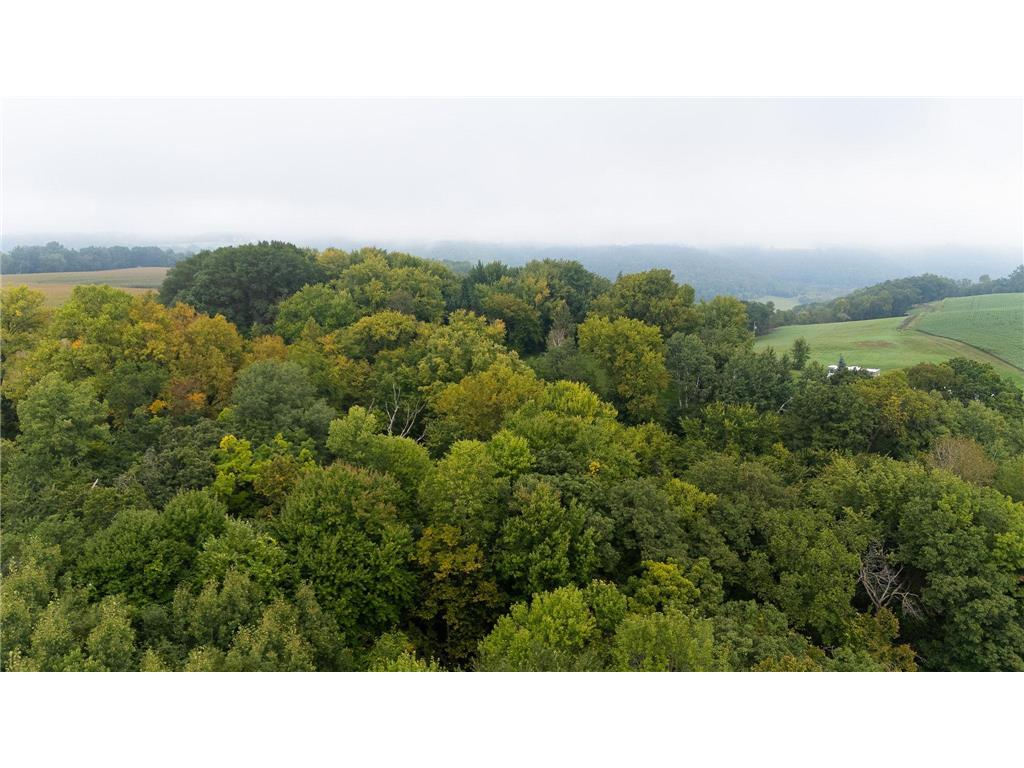 TBD (Lot 2) Goat Back Road Pepin WI 54759 6813960 image18