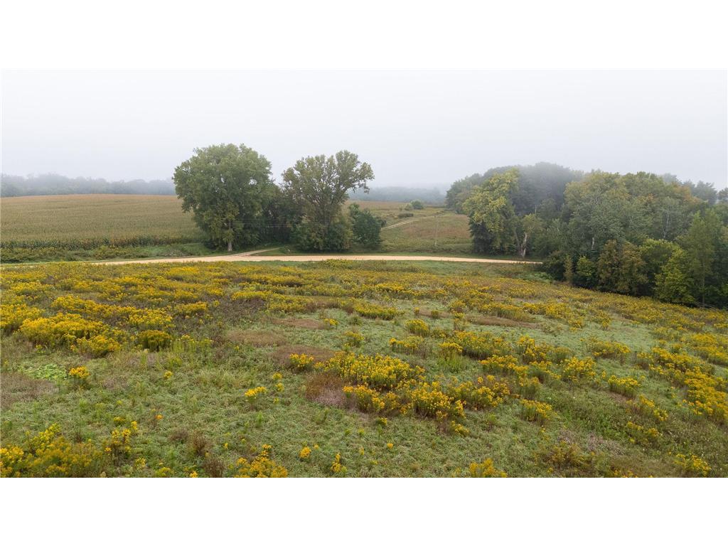 TBD (Lot 2) Goat Back Road Pepin WI 54759 6813960 image2