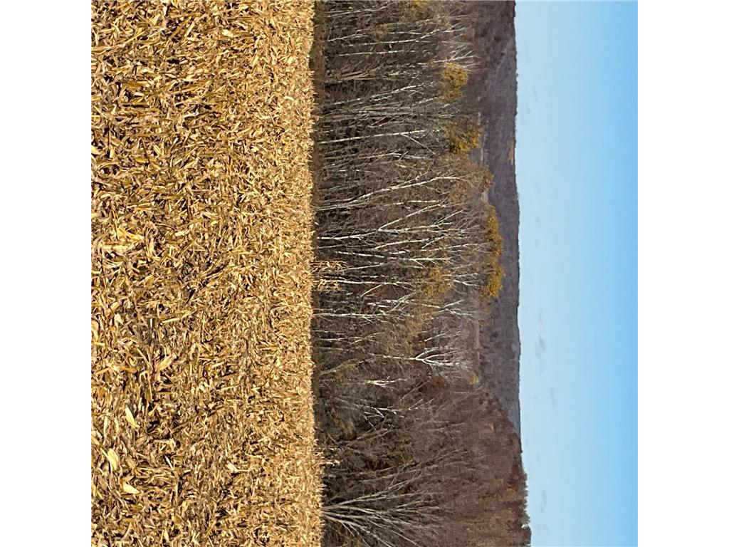 TBD (Lot 2) Goat Back Road Pepin WI 54759 6813960 image21