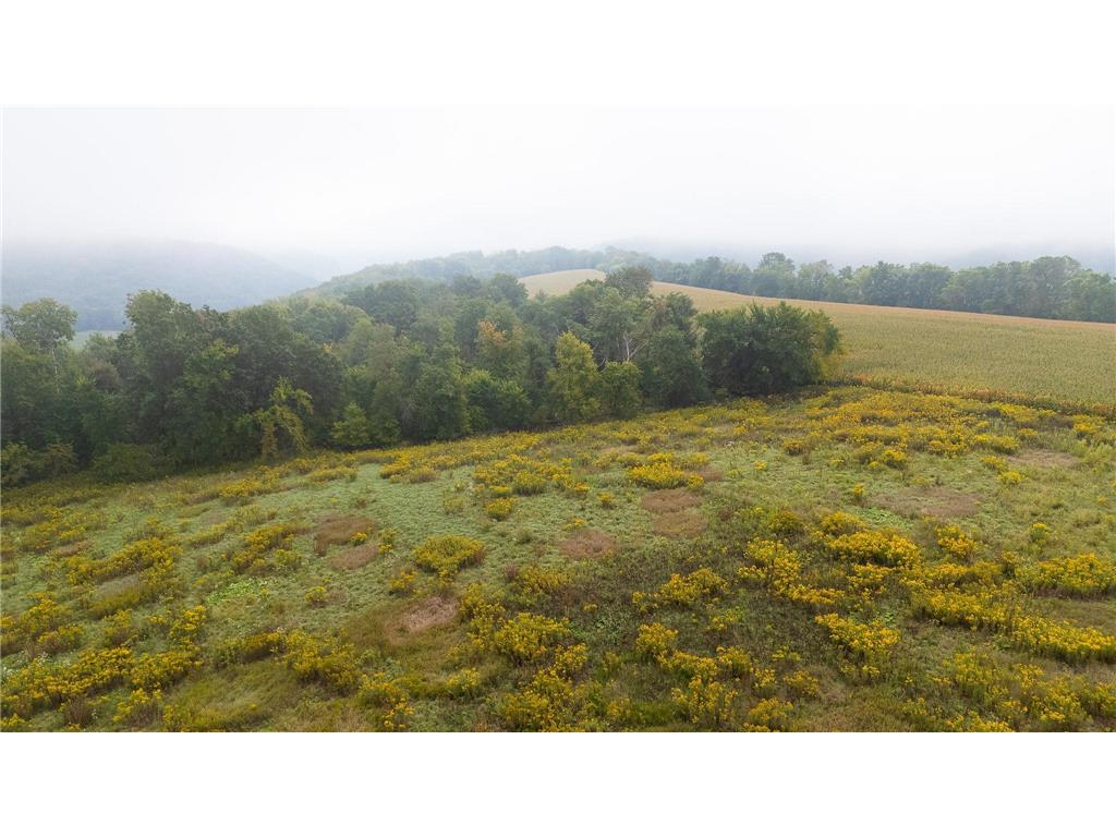 TBD (Lot 2) Goat Back Road Pepin WI 54759 6813960 image7