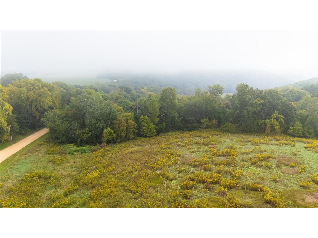 TBD (Lot 2) Goat Back Road Pepin WI 54759 6813960 image8