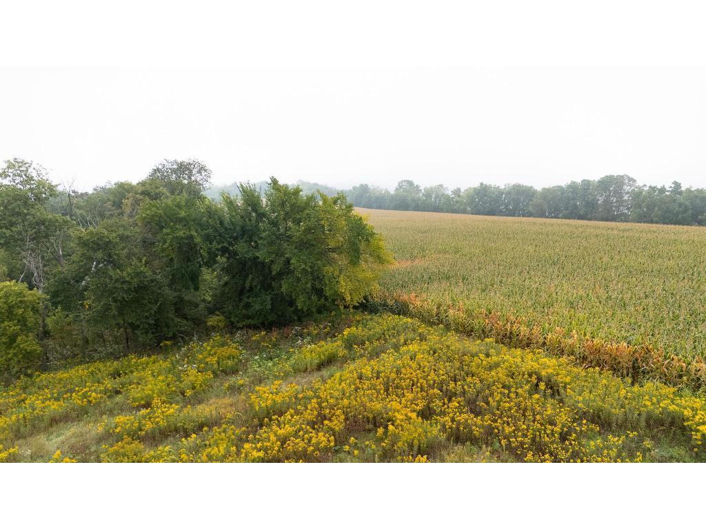 TBD (Lot 2) Goat Back Road Pepin WI 54759 7069199 image1
