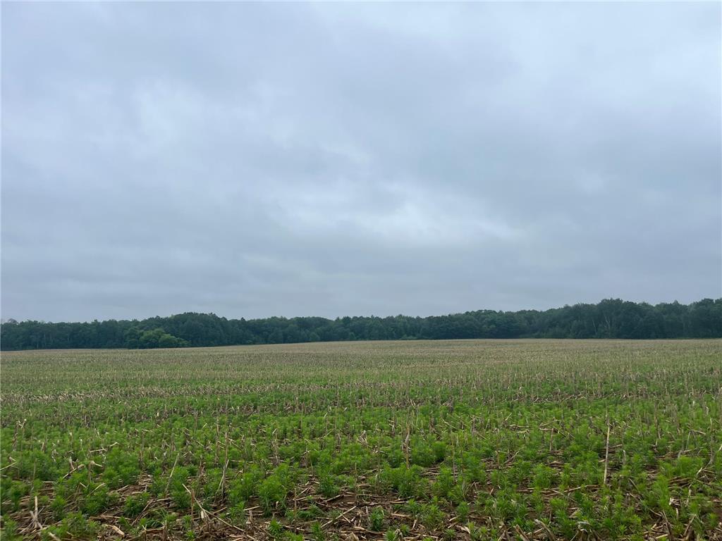 TBD (Lot 2) Hemingway Avenue North Branch MN 55056 7088835 image1