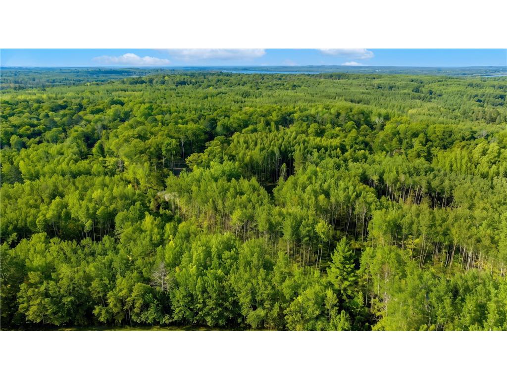 TBD Lot 2 Walker MN 56484 7105622 image2
