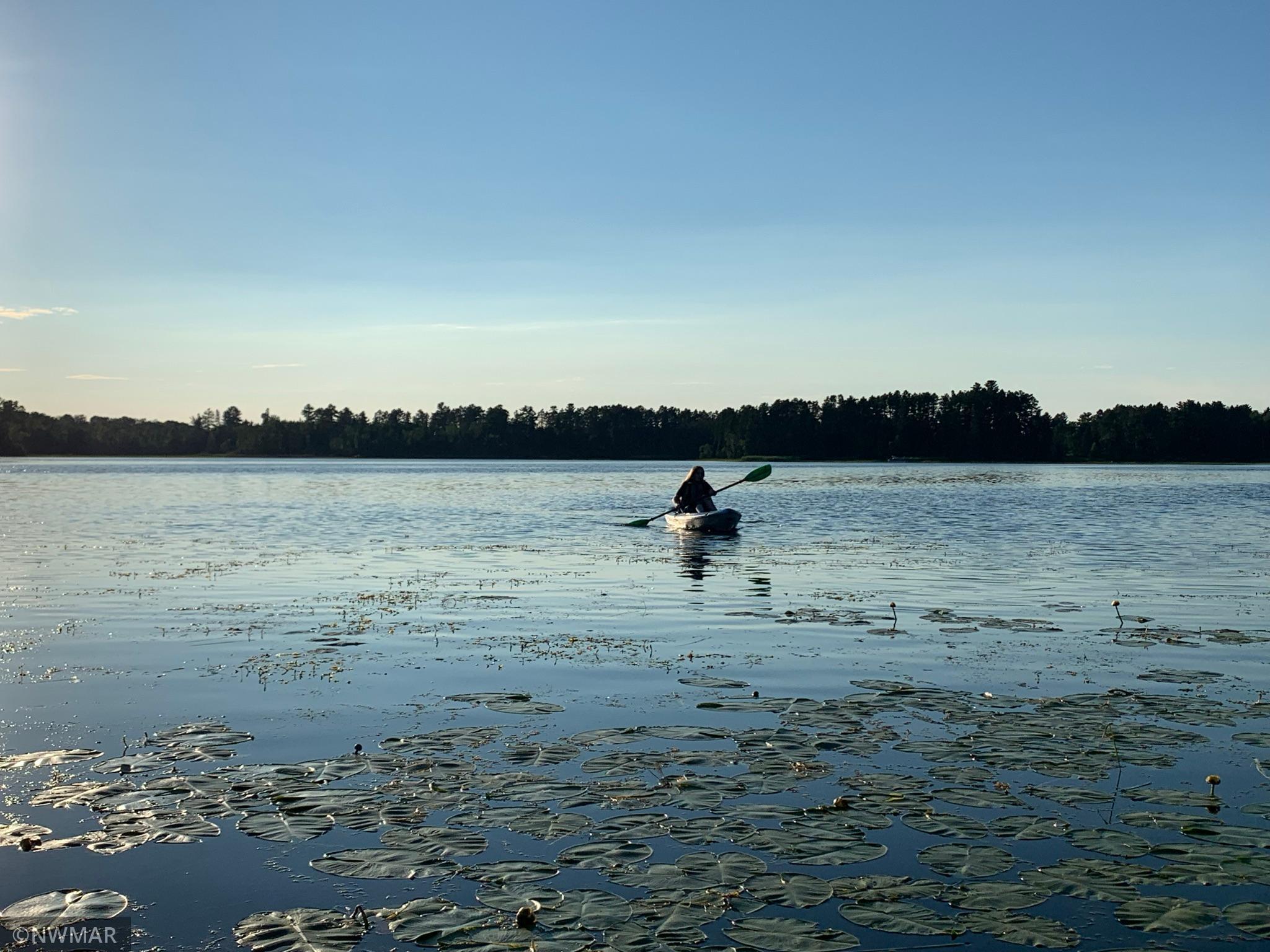 TBD Lot 28 Peninsula Court NE Frohn Twp MN 56601 - Stump 6016558 image1