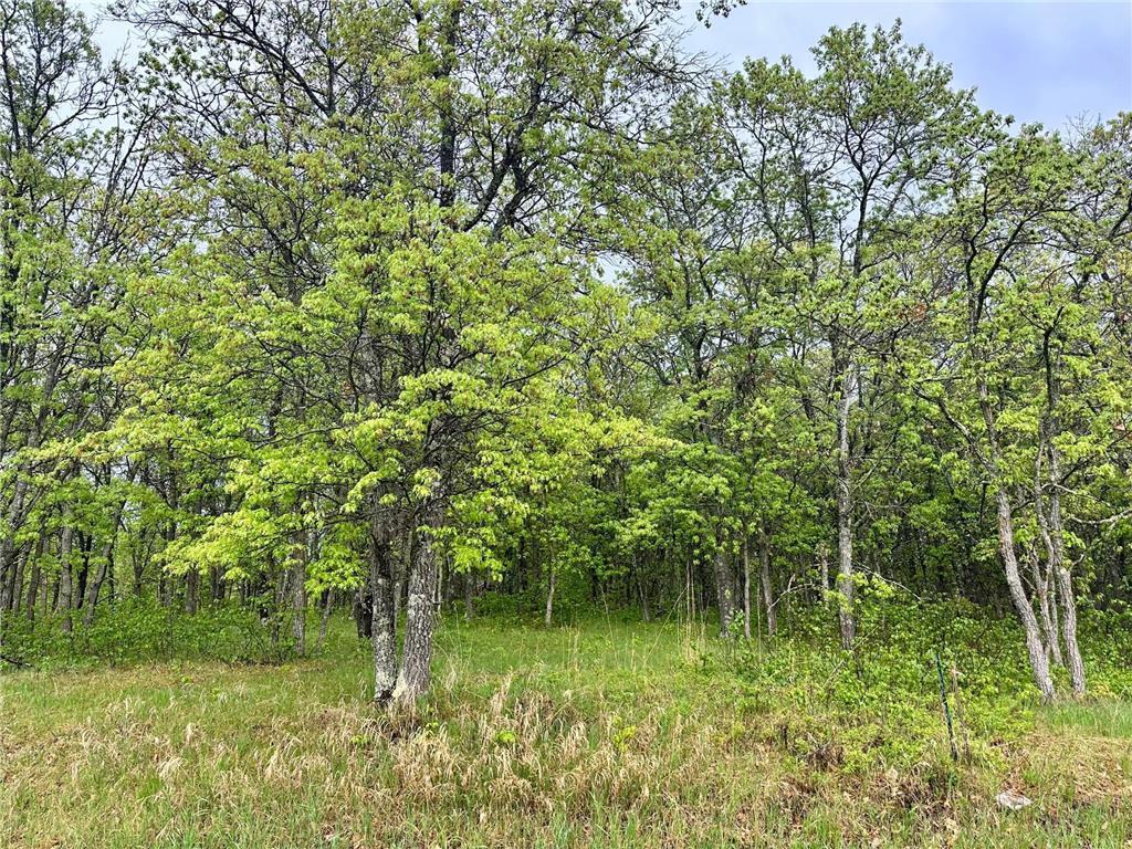 TBD Lot 3 204th St Park Rapids MN 56470 7032789 image4