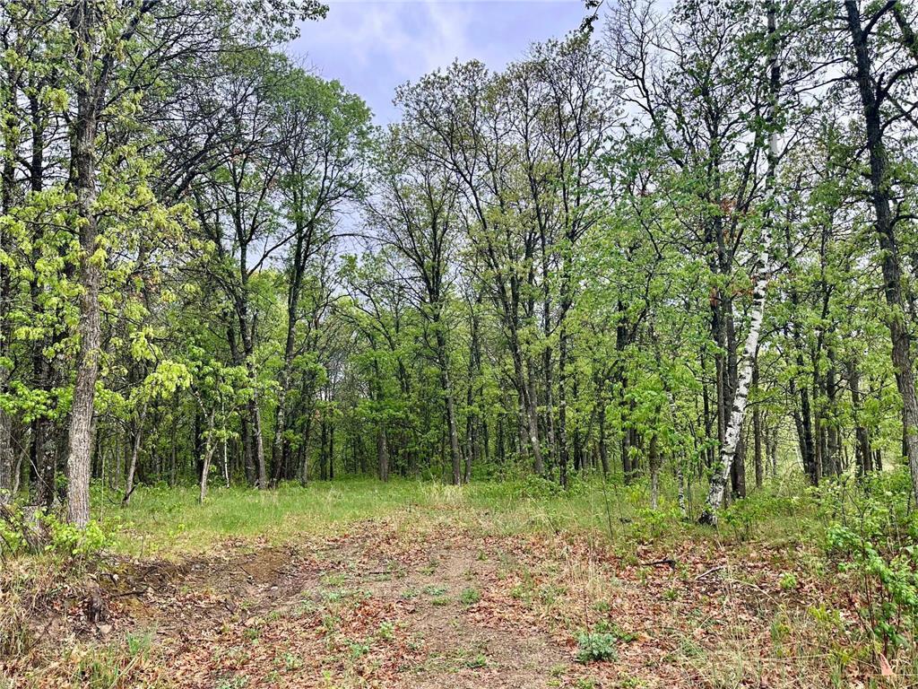 TBD Lot 3 204th St Park Rapids MN 56470 7032789 image5