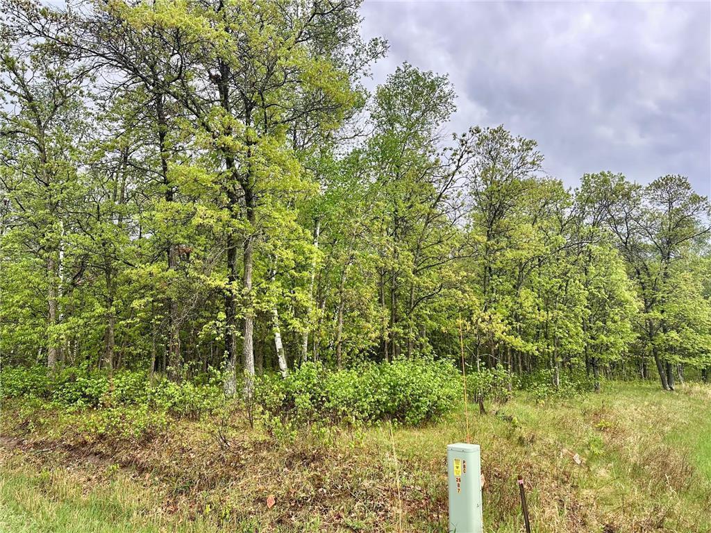 TBD Lot 3 204th St Park Rapids MN 56470 7032789 image6
