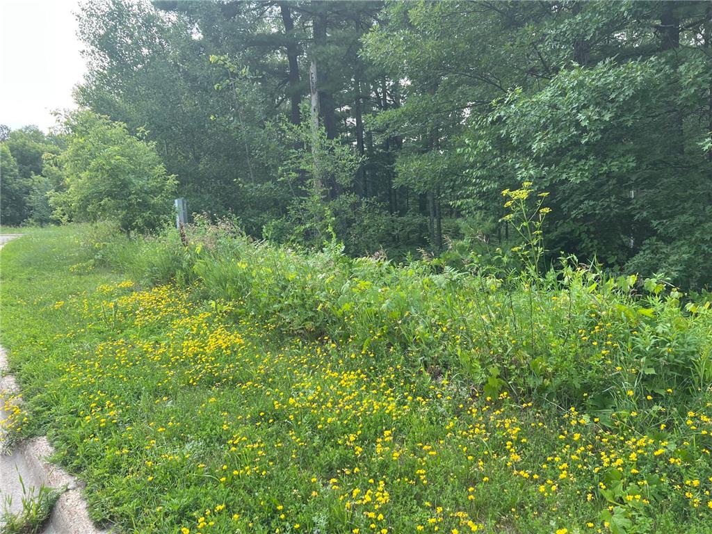 TBD Lot 3 5th Street S Walker MN 56484 6489885 image1