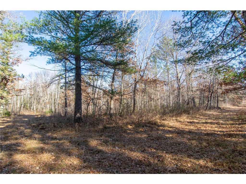 TBD Lot 3 Frustration Lane Todd Twp MN 56470 6817026 image10