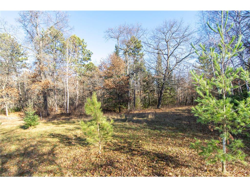 TBD Lot 3 Frustration Lane Todd Twp MN 56470 6817026 image11