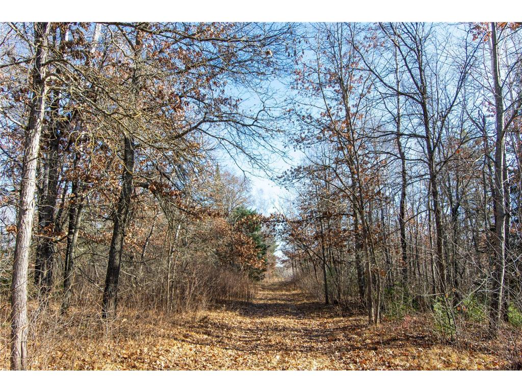 TBD Lot 3 Frustration Lane Todd Twp MN 56470 6817026 image8