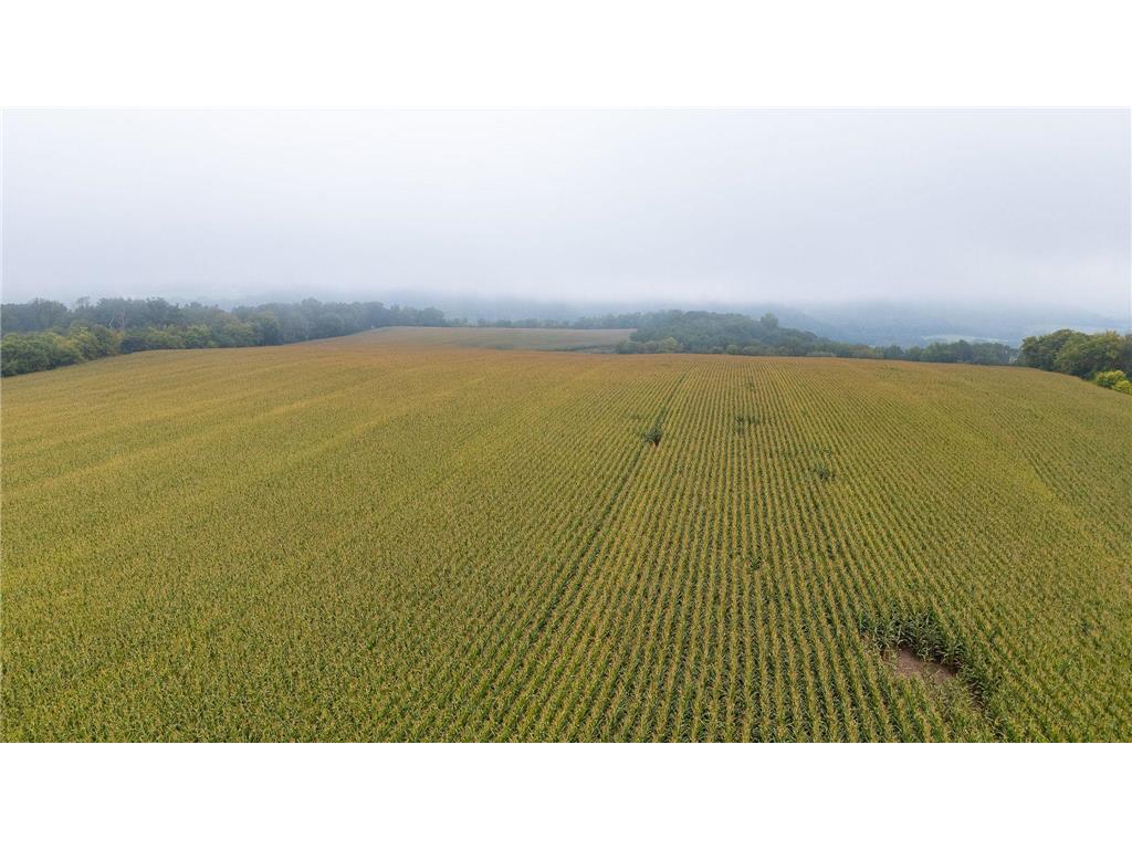 TBD (Lot 3) Goat Back Road Pepin WI 54759 6813972 image10