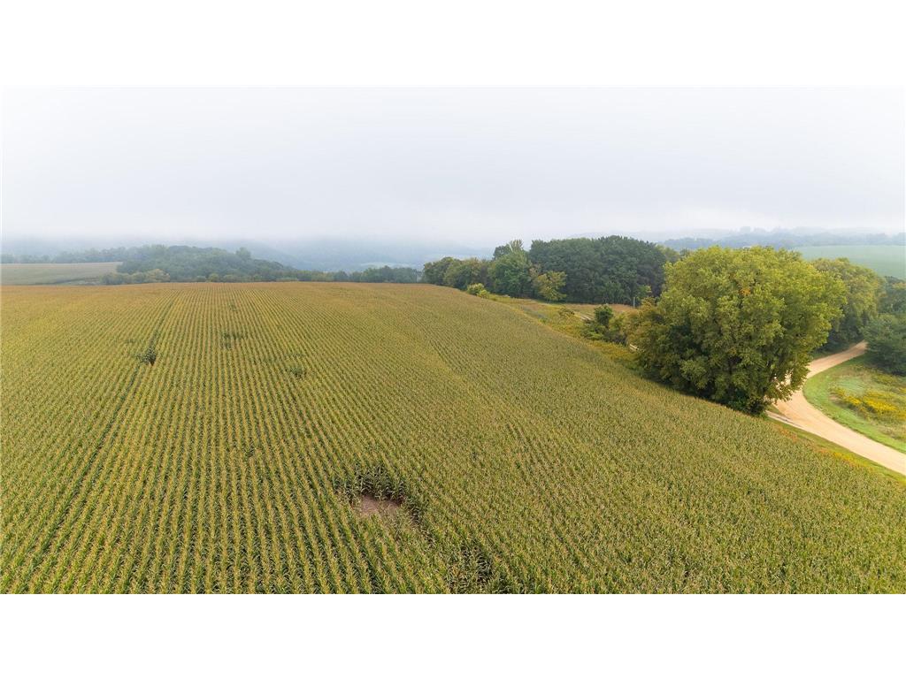 TBD (Lot 3) Goat Back Road Pepin WI 54759 6813972 image11