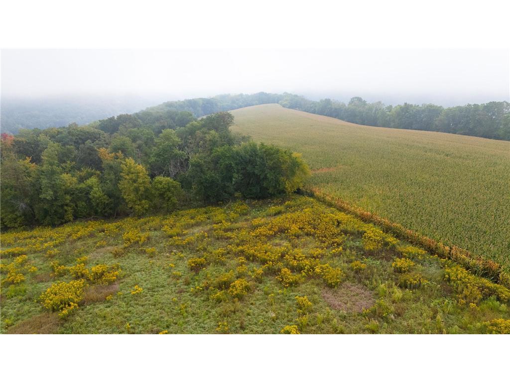 TBD (Lot 3) Goat Back Road Pepin WI 54759 6813972 image4