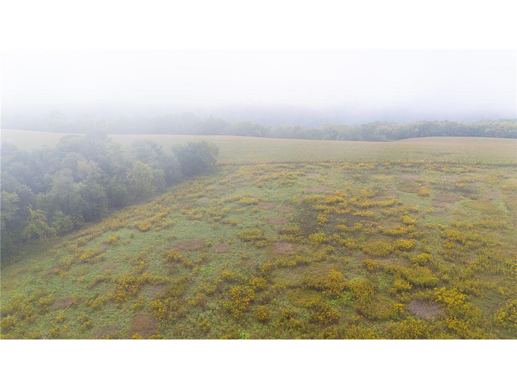 TBD (Lot 3) Goat Back Road Pepin WI 54759 6813972 image6