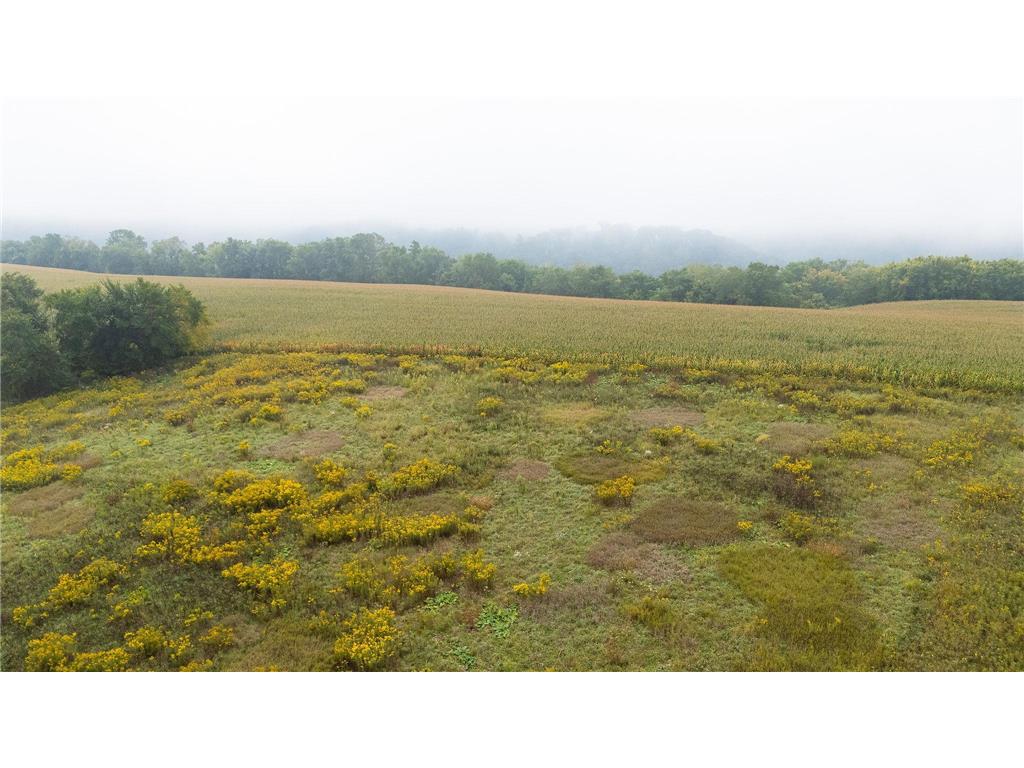 TBD (Lot 3) Goat Back Road Pepin WI 54759 6813972 image7