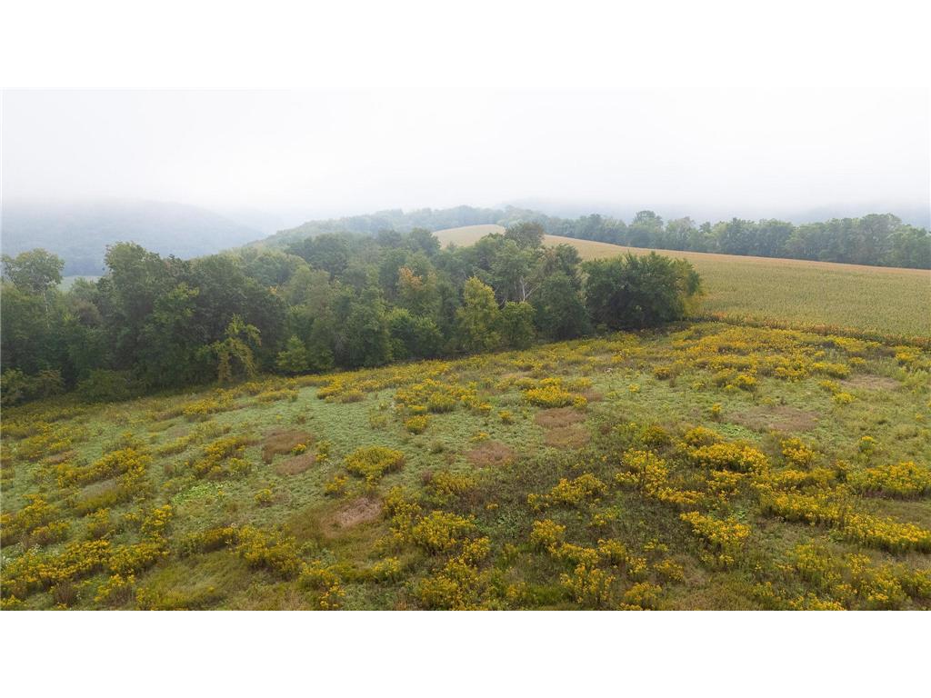 TBD (Lot 3) Goat Back Road Pepin WI 54759 6813972 image8