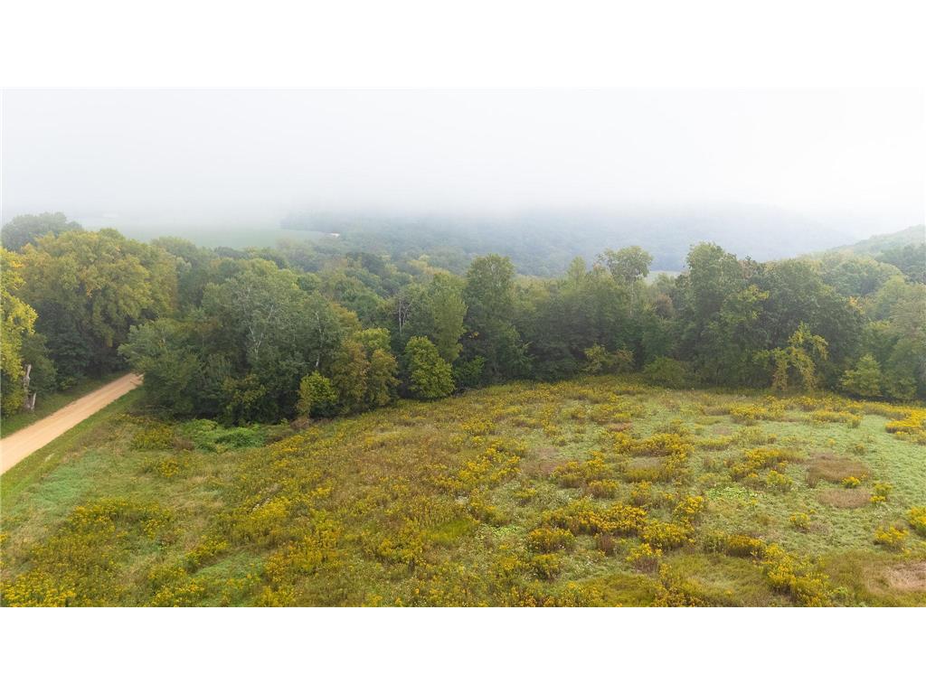 TBD (Lot 3) Goat Back Road Pepin WI 54759 6813972 image9