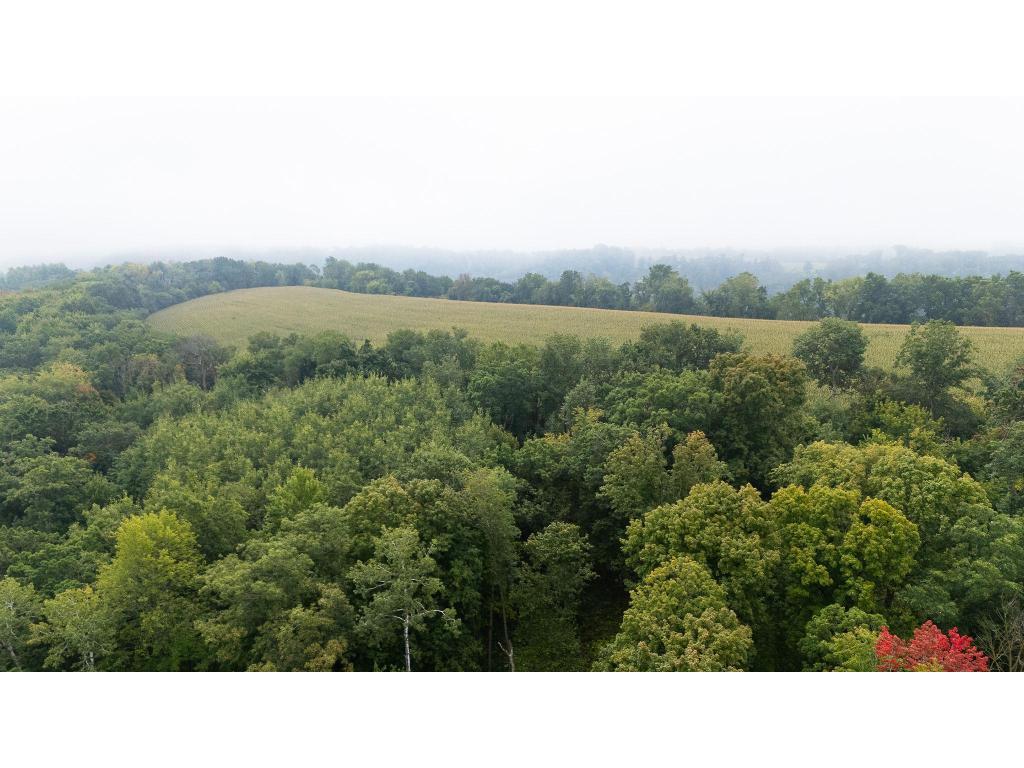 TBD (Lot 3) Goat Back Road Pepin WI 54759 7069189 image1